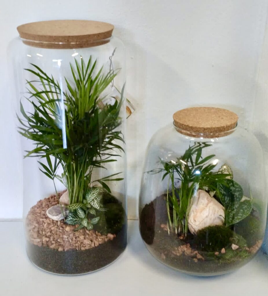 GARDEN CENTER LOS MADROÑOS S.L.