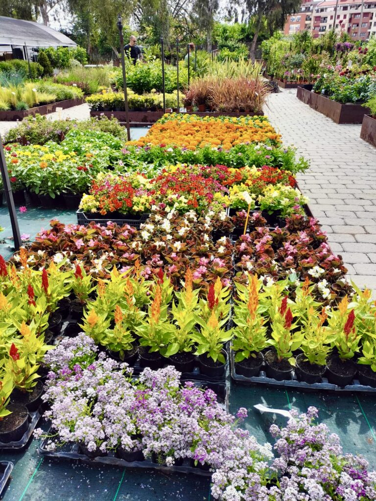 GARDEN CENTER LOS MADROÑOS S.L.